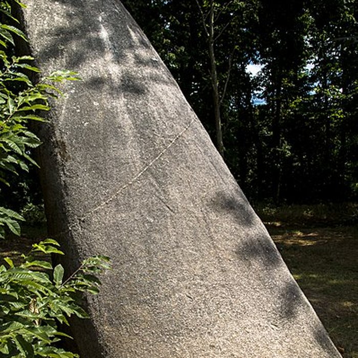Photo de Menhir de la Tremblais de Saint-Samson-sur-Rance