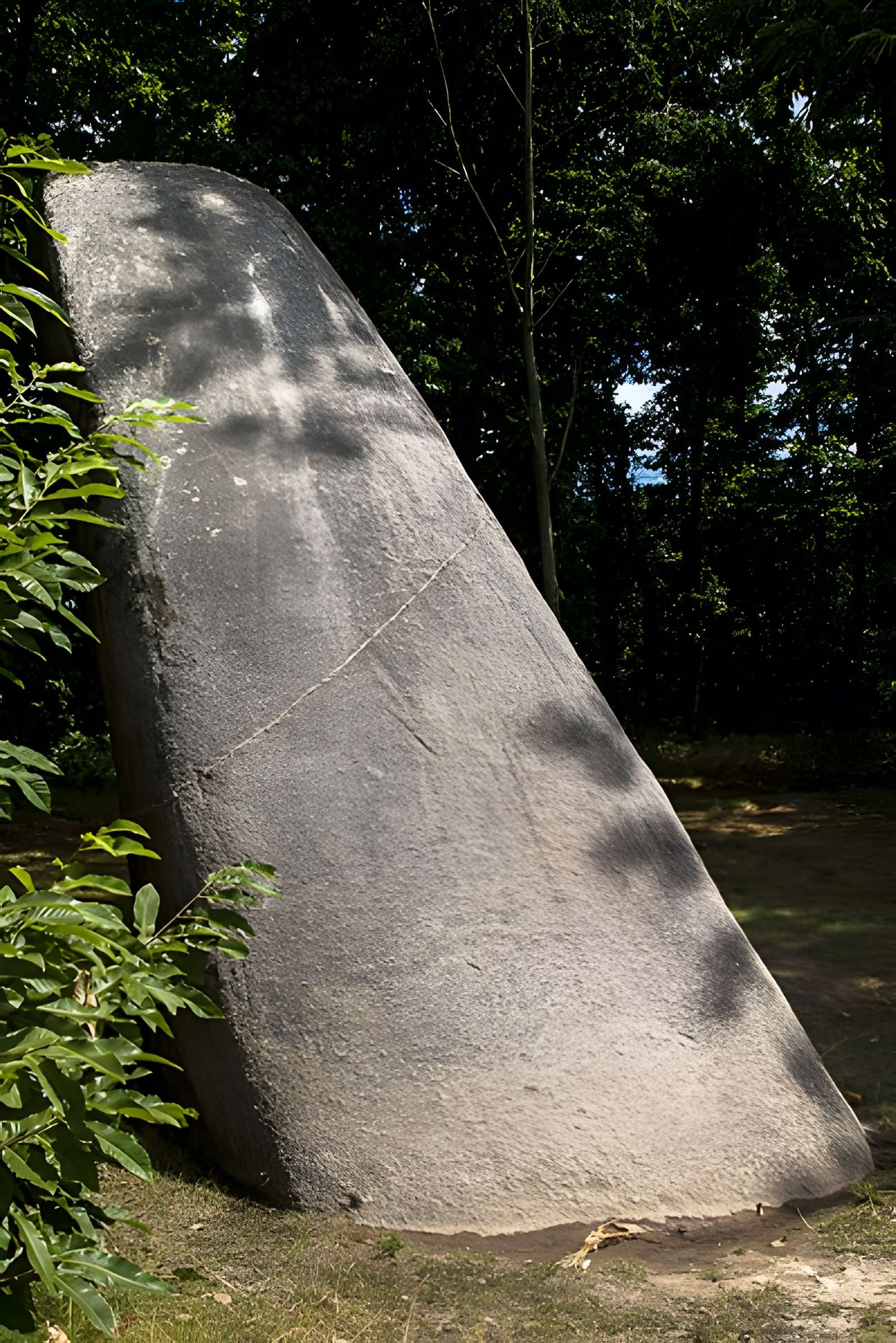 Menhir de la Tremblais de Saint-Samson-sur-Rance