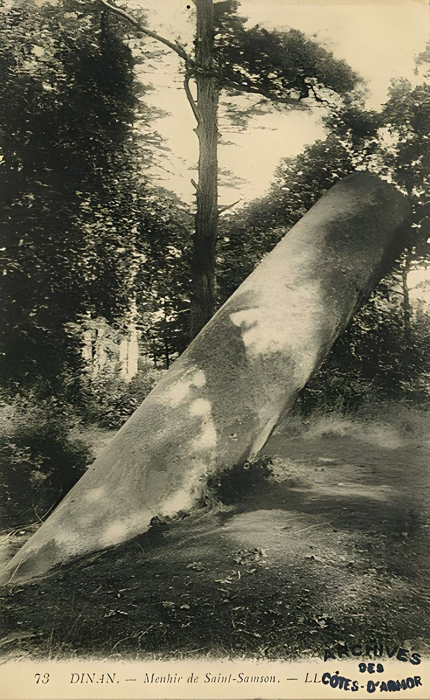 Menhir de la Tremblais de Saint-Samson-sur-Rance