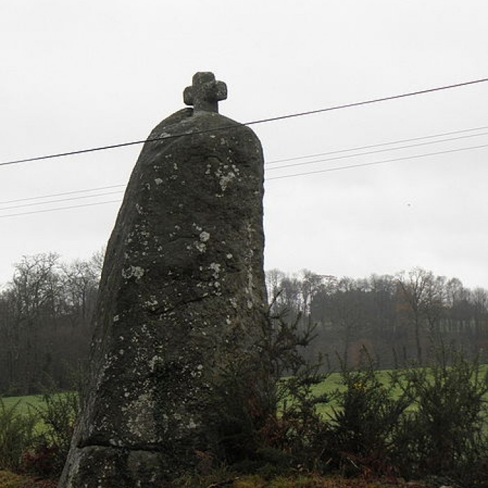 Photo de Menhir de Landes-Ros à Noyal-sous-Bazouges