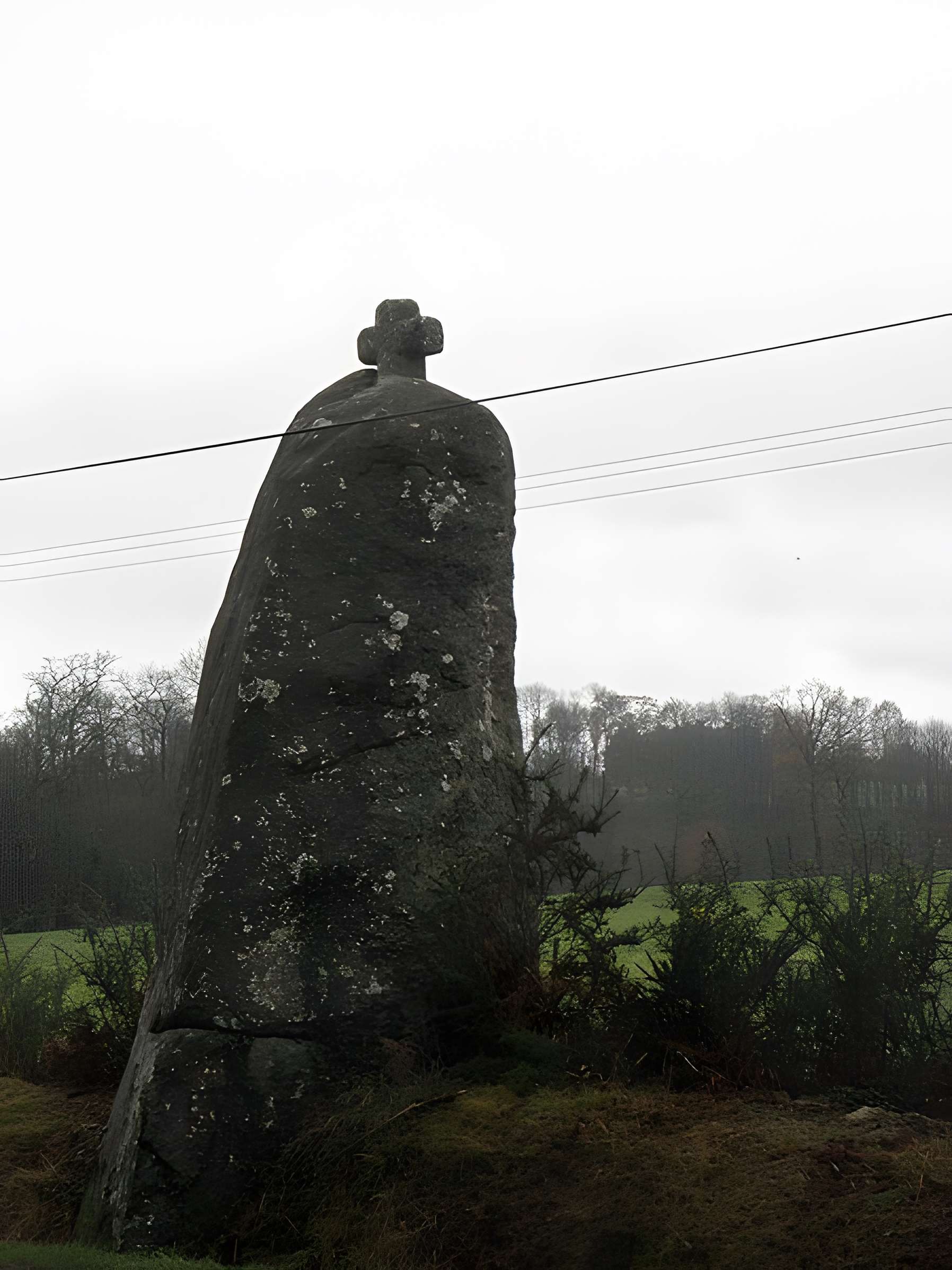 Menhir de Landes-Ros à Noyal-sous-Bazouges 