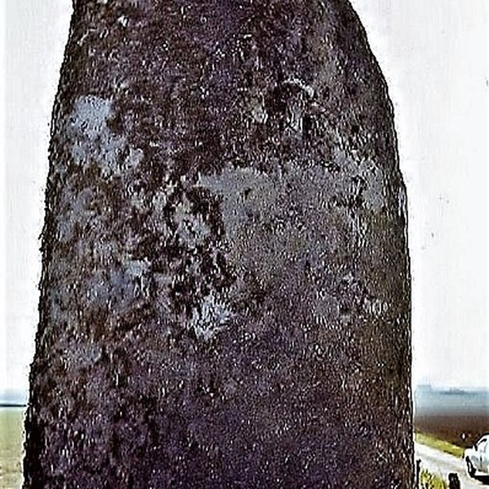 Photo de Menhir de Lann al Louarn à Plouguin