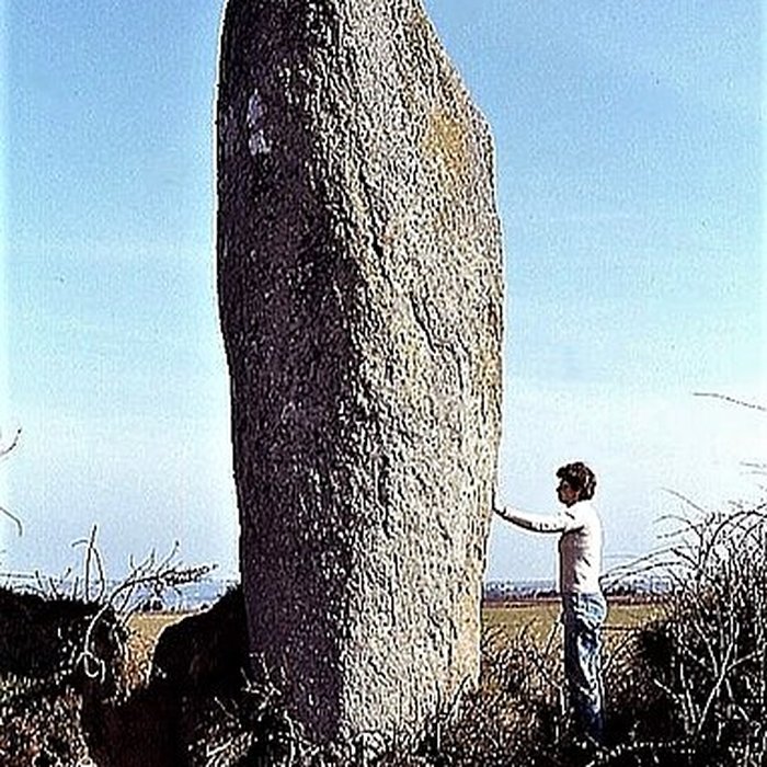 Photo de Menhir de Lann al Louarn à Plouguin
