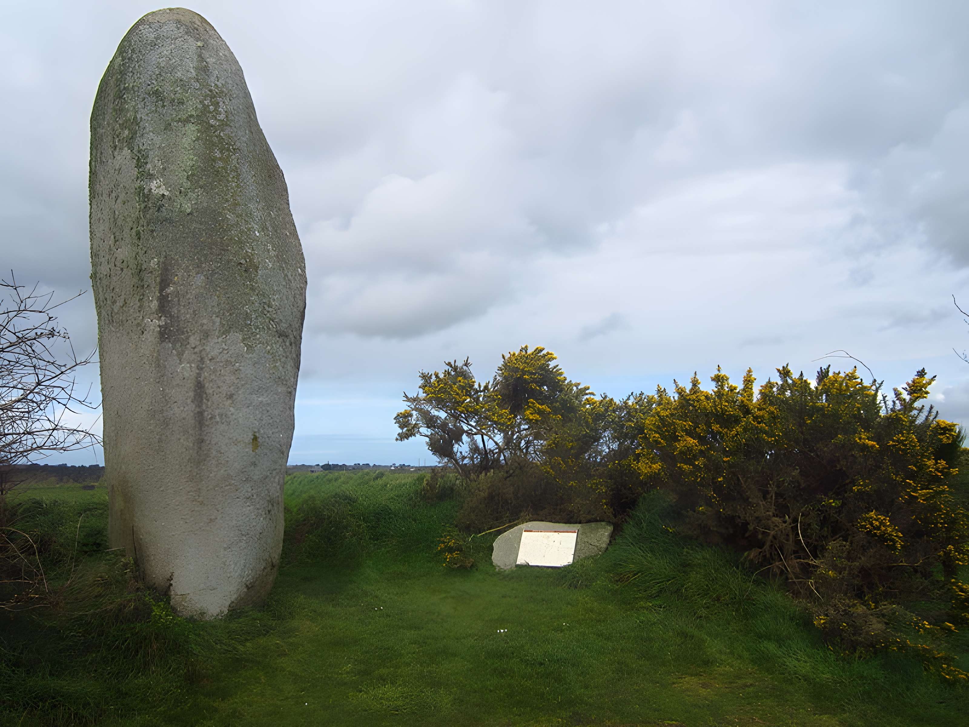 Menhir de Lann al Louarn à Plouguin