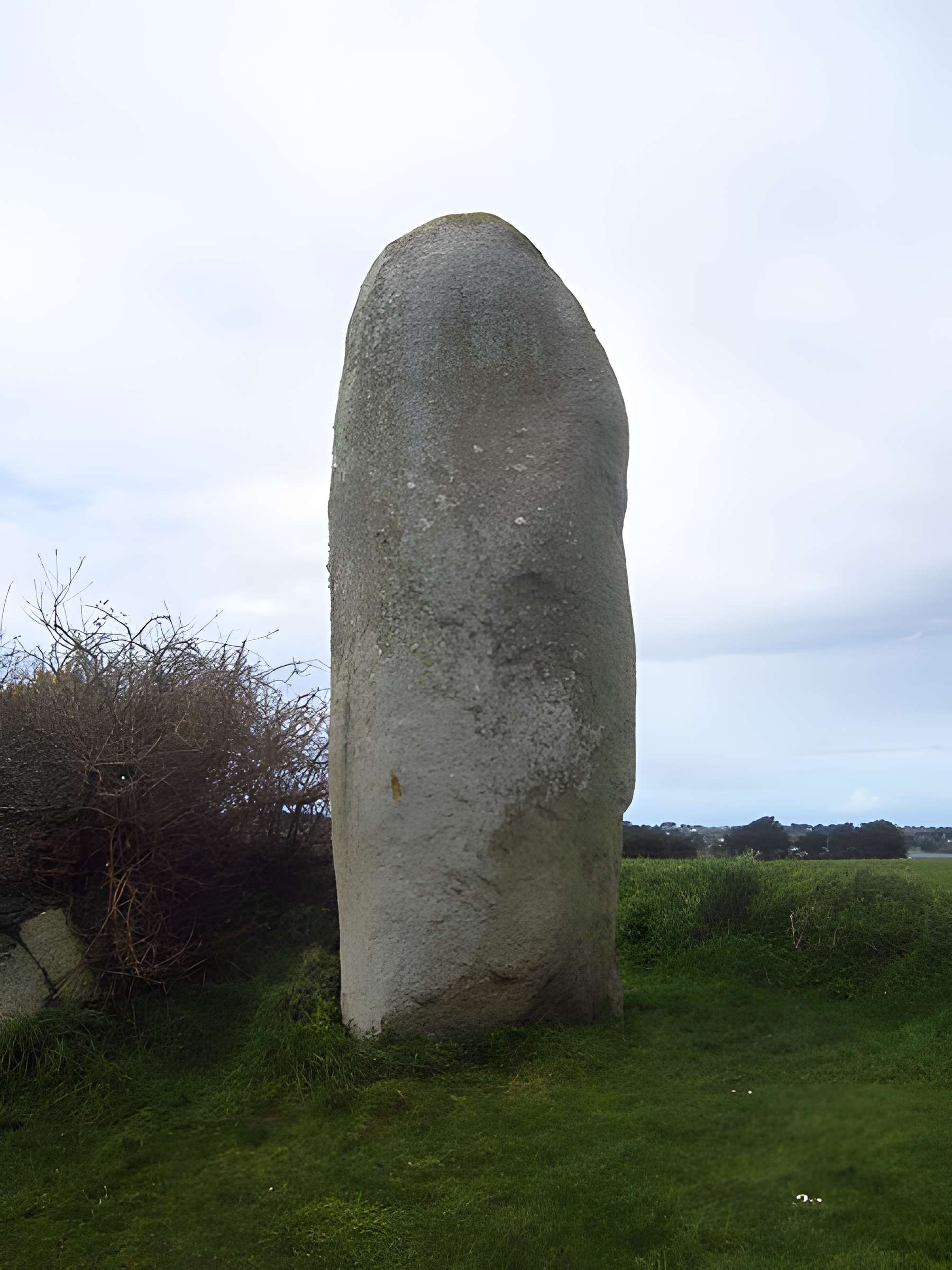 Menhir de Lann al Louarn à Plouguin