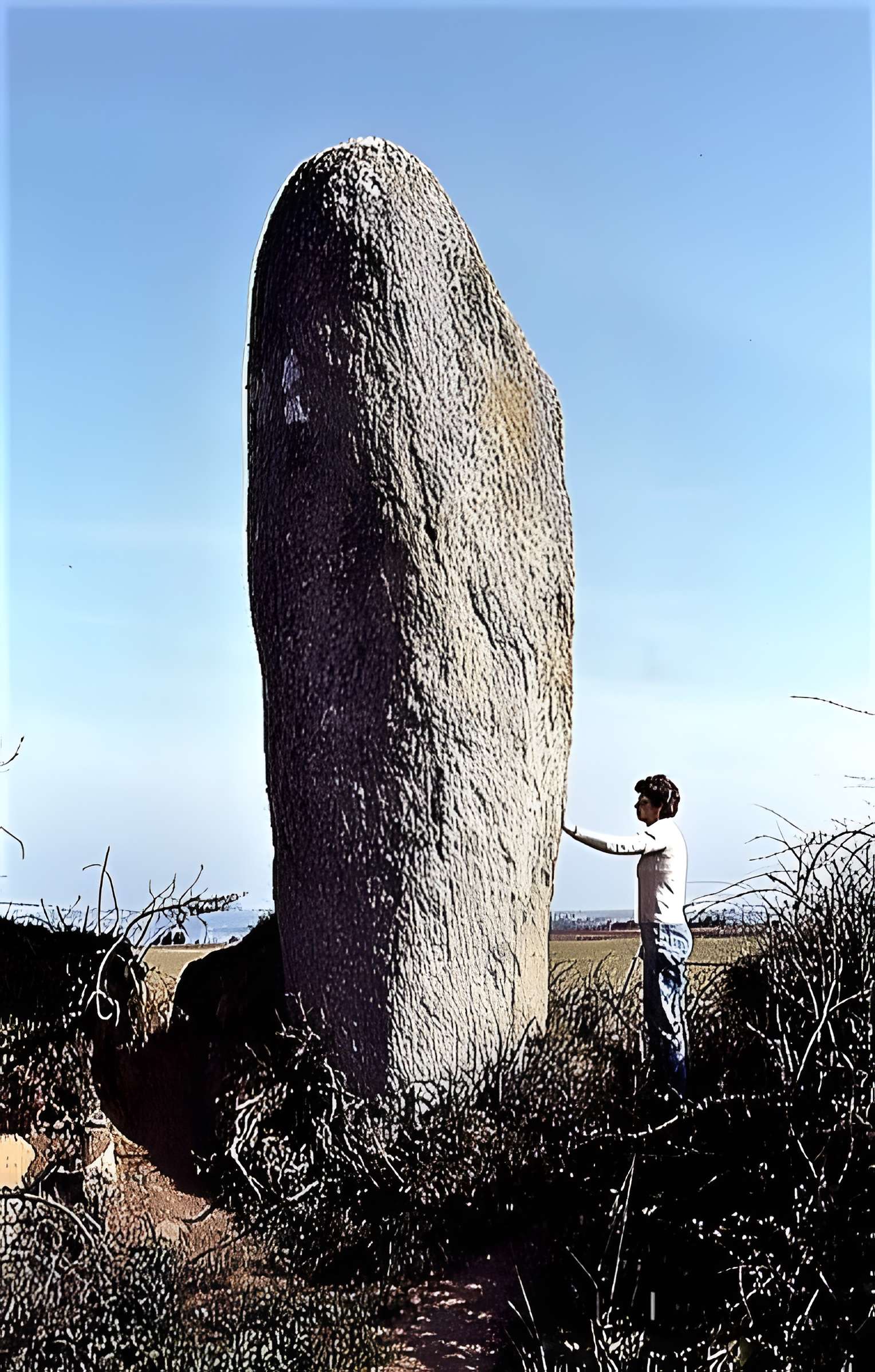 Menhir de Lann al Louarn à Plouguin