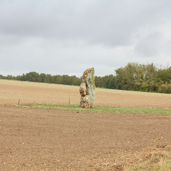 Photo de Menhir de létang de Chénevry à Congy