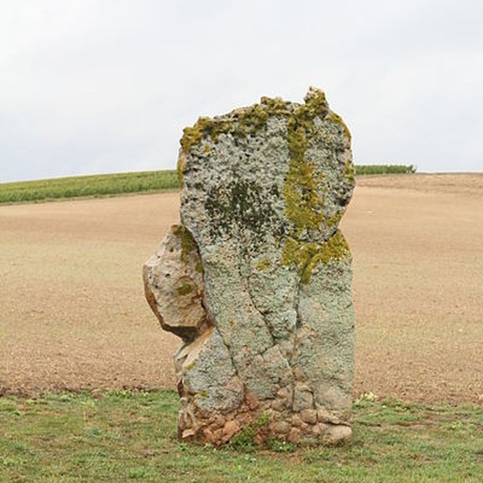 Photo de Menhir de létang de Chénevry à Congy