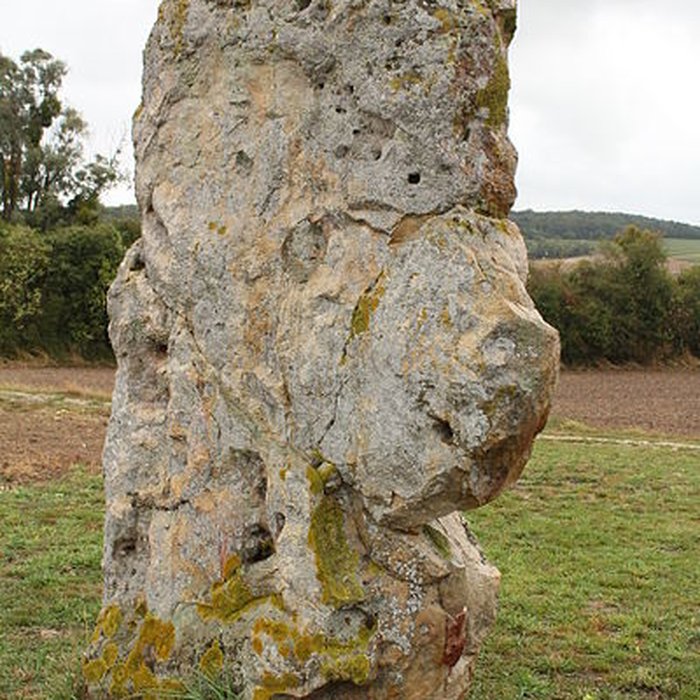 Photo de Menhir de létang de Chénevry à Congy