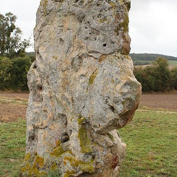 Menhir de létang de Chénevry à Congy