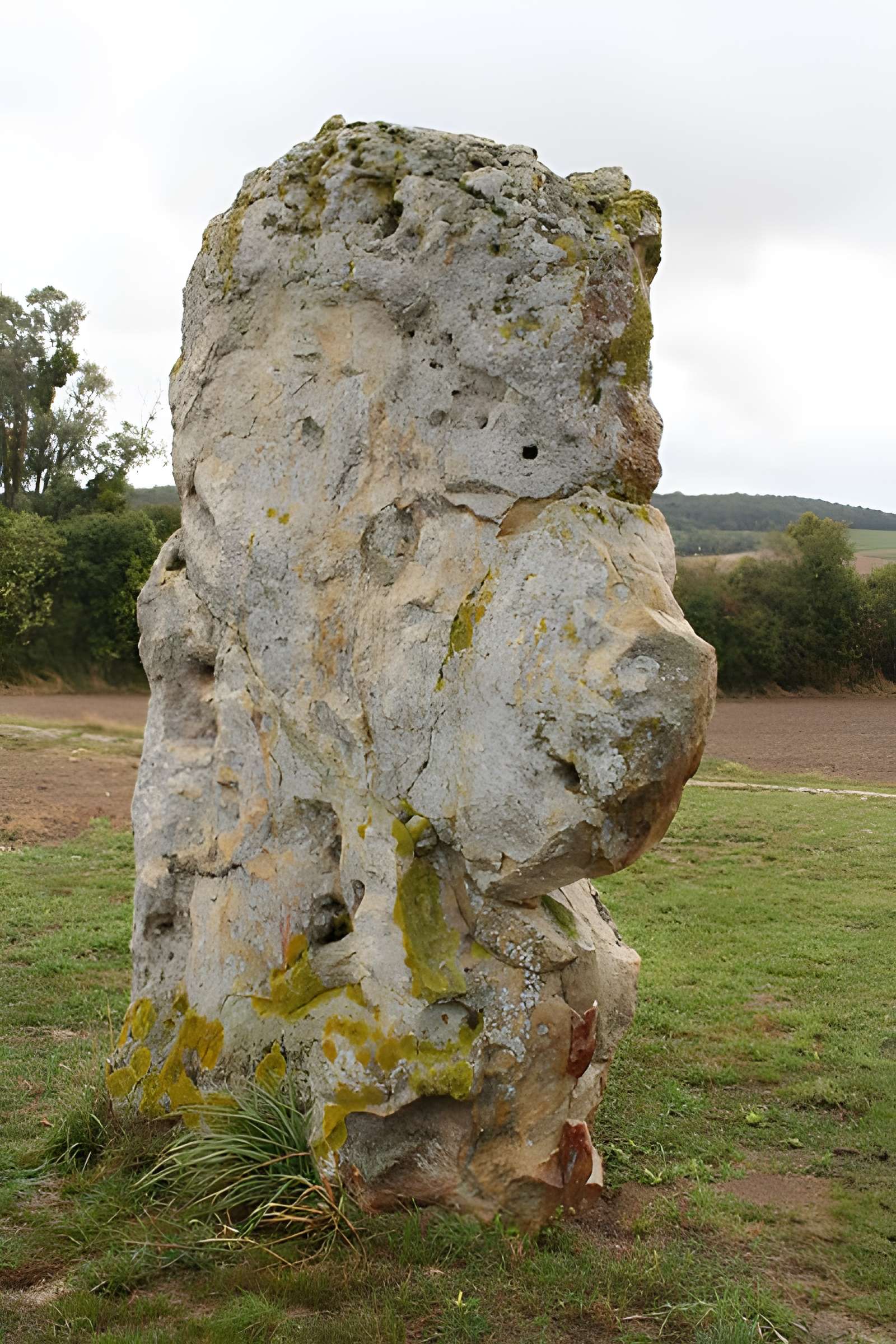 Menhir de l'étang de Chénevry à Congy