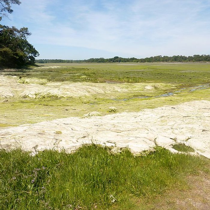 Photo de Menhir de Penglaouic à Loctudy