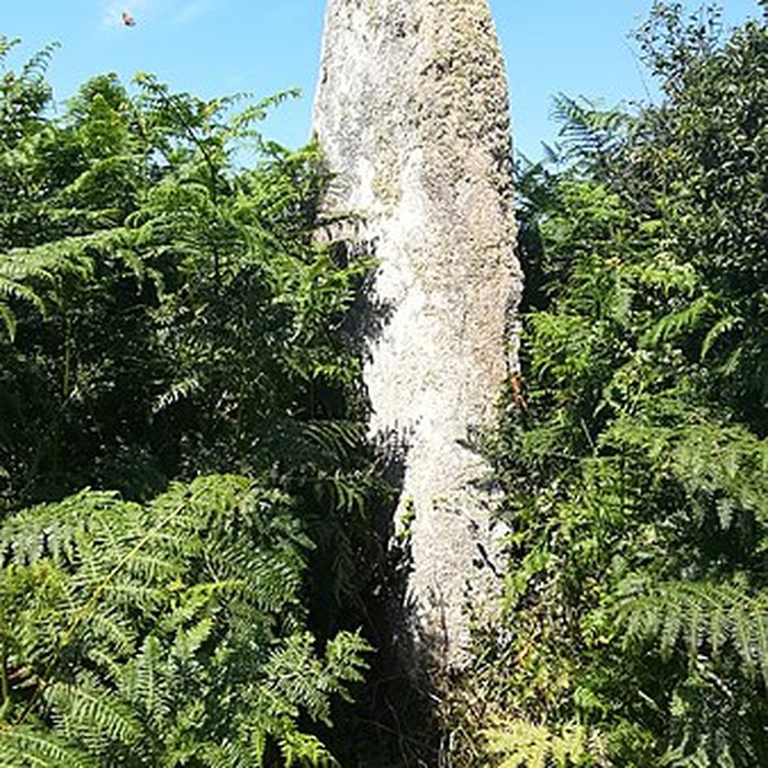 Photo de Menhir de Luguenez à Beuzec-Cap-Sizun