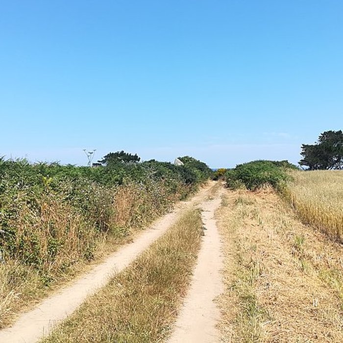 Photo de Menhir de Luguenez à Beuzec-Cap-Sizun