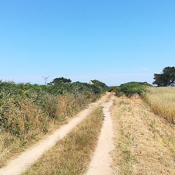 Menhir de Luguenez à Beuzec-Cap-Sizun