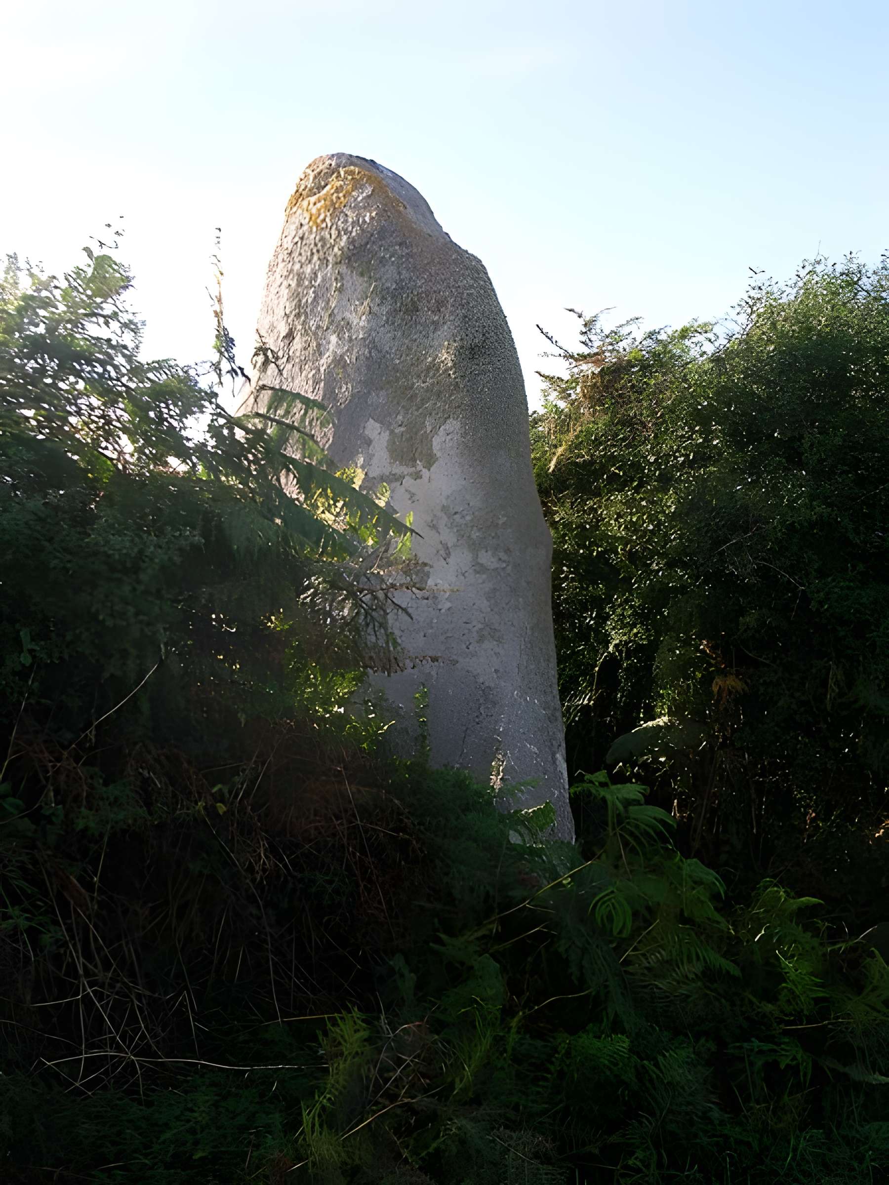 Menhir de Luguenez à Beuzec-Cap-Sizun