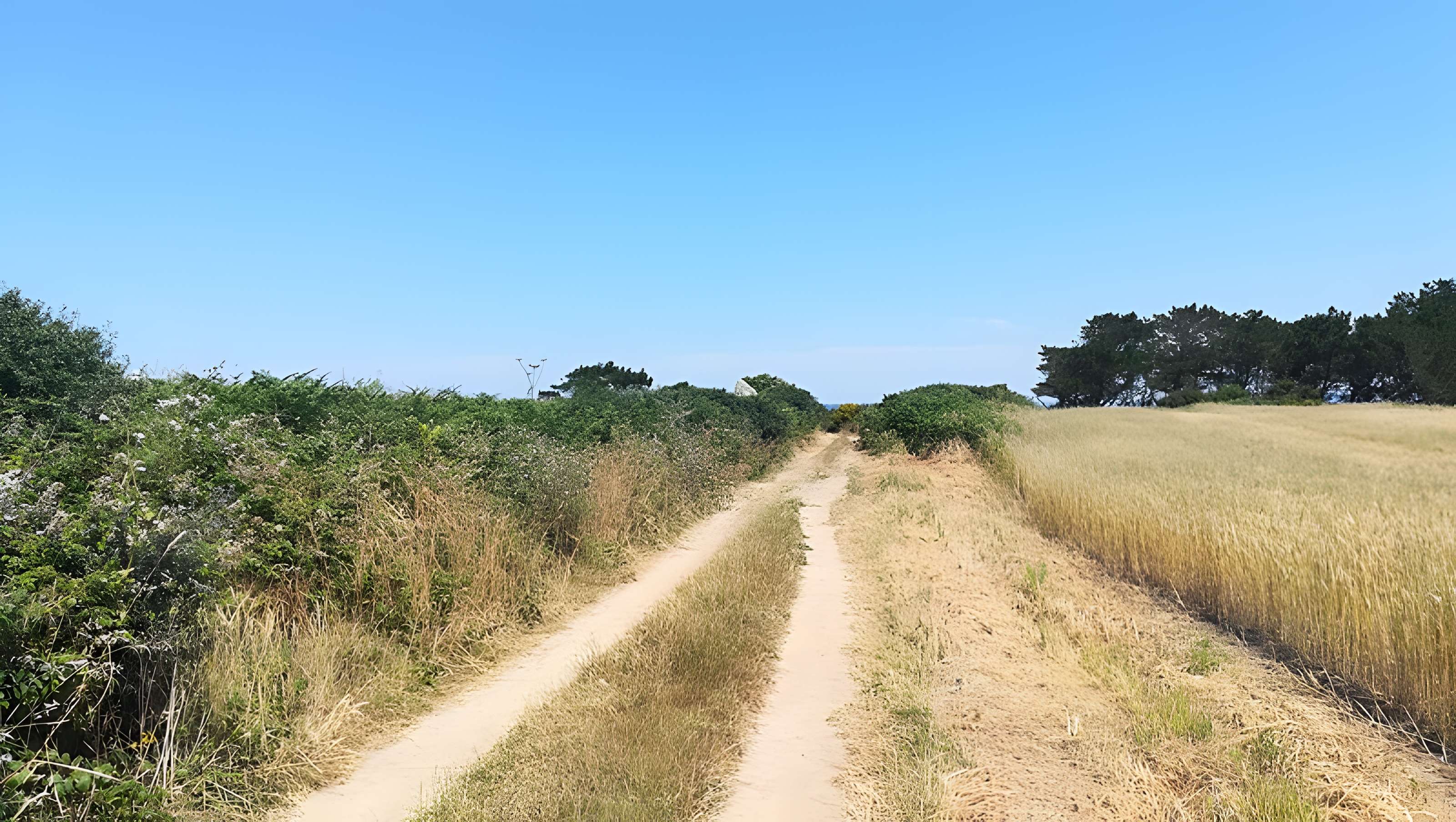 Menhir de Luguenez à Beuzec-Cap-Sizun