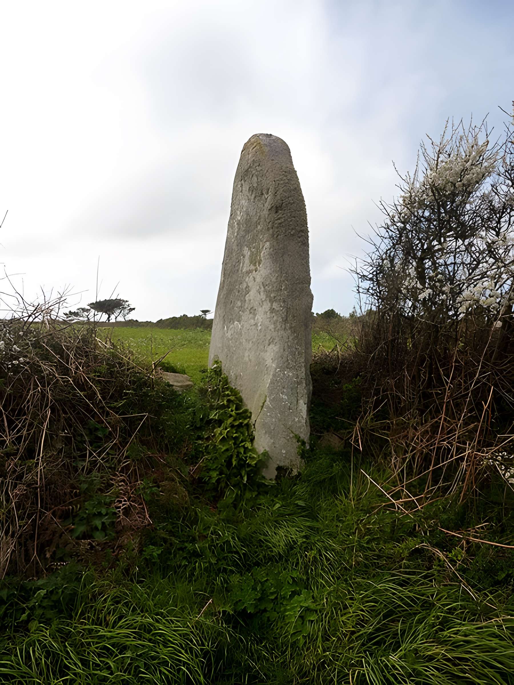 Menhir de Luguenez à Beuzec-Cap-Sizun