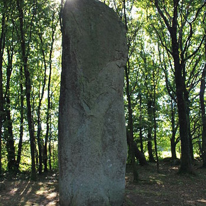 Photo de Menhir de Men-Bras-de-Kermar-Ker à Moustoir-Ac