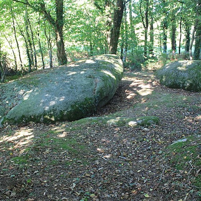 Photo de Menhir de Men-Bras-de-Kermar-Ker à Moustoir-Ac