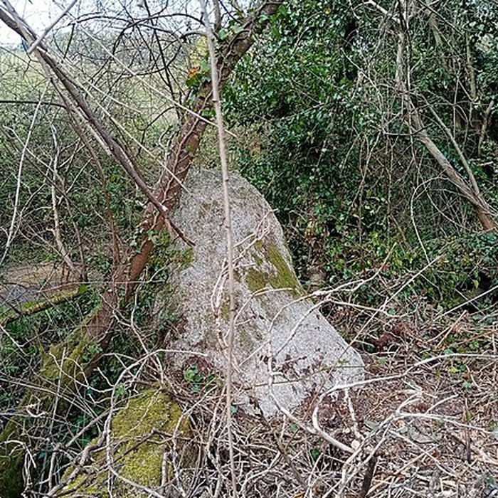 Photo de Menhir de Men-Bras-de-Kermar-Ker à Moustoir-Ac