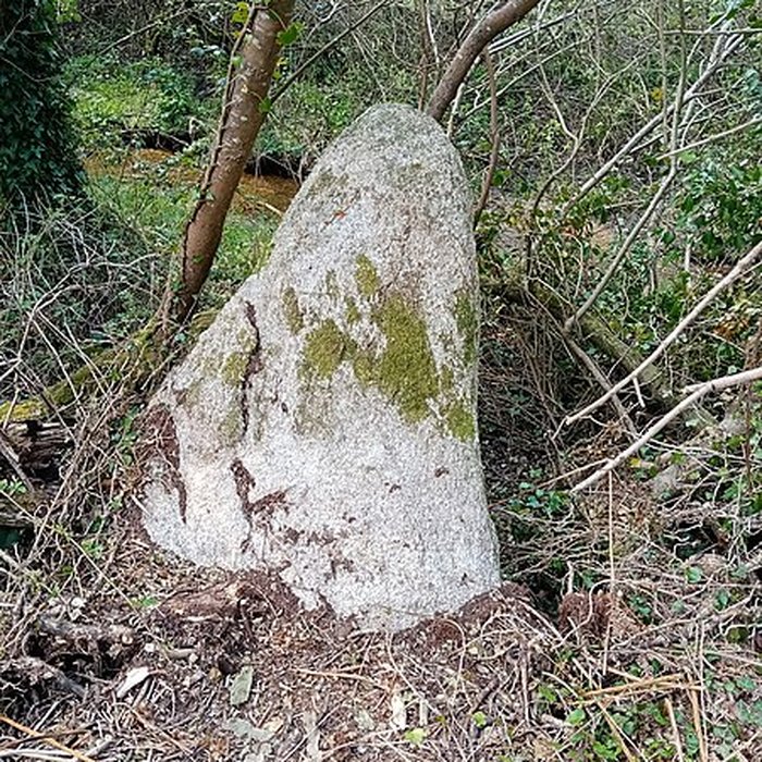 Photo de Menhir de Men-Bras-de-Kermar-Ker à Moustoir-Ac
