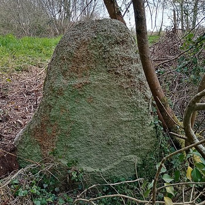Photo de Menhir de Men-Bras-de-Kermar-Ker à Moustoir-Ac