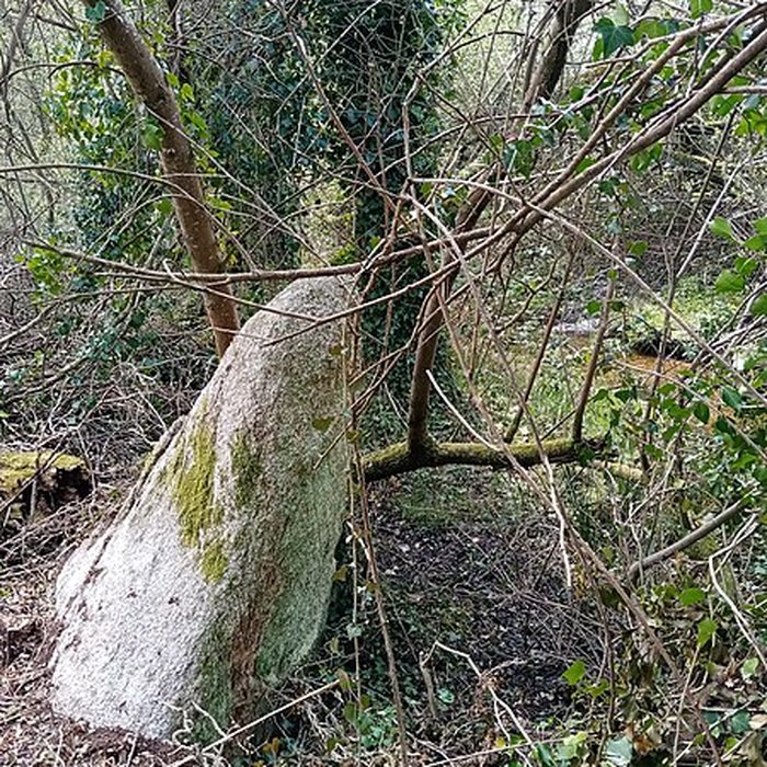 Photo de Menhir de Men-Bras-de-Kermar-Ker à Moustoir-Ac