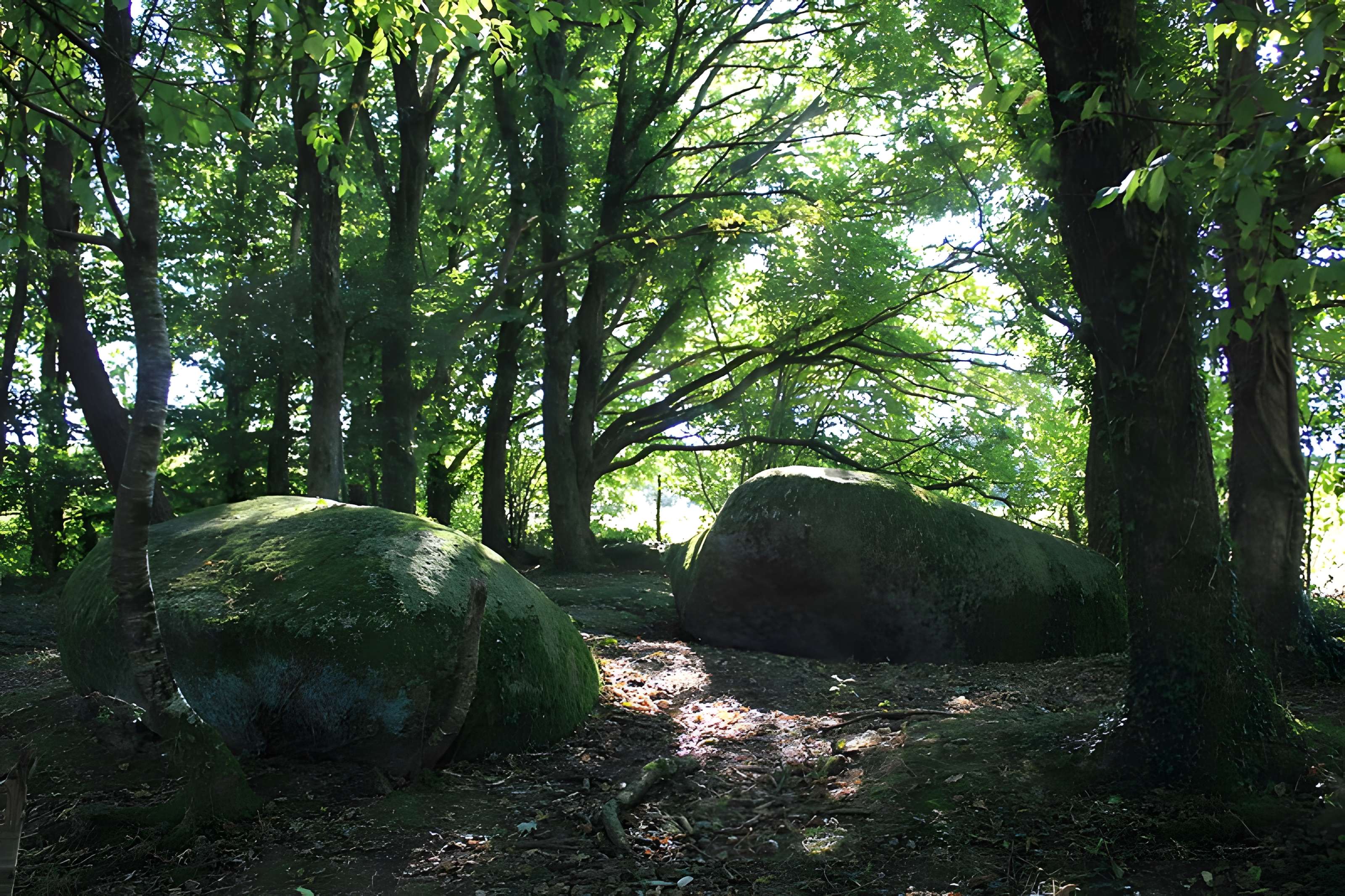 Menhir de Men-Bras-de-Kermar-Ker à Moustoir-Ac
