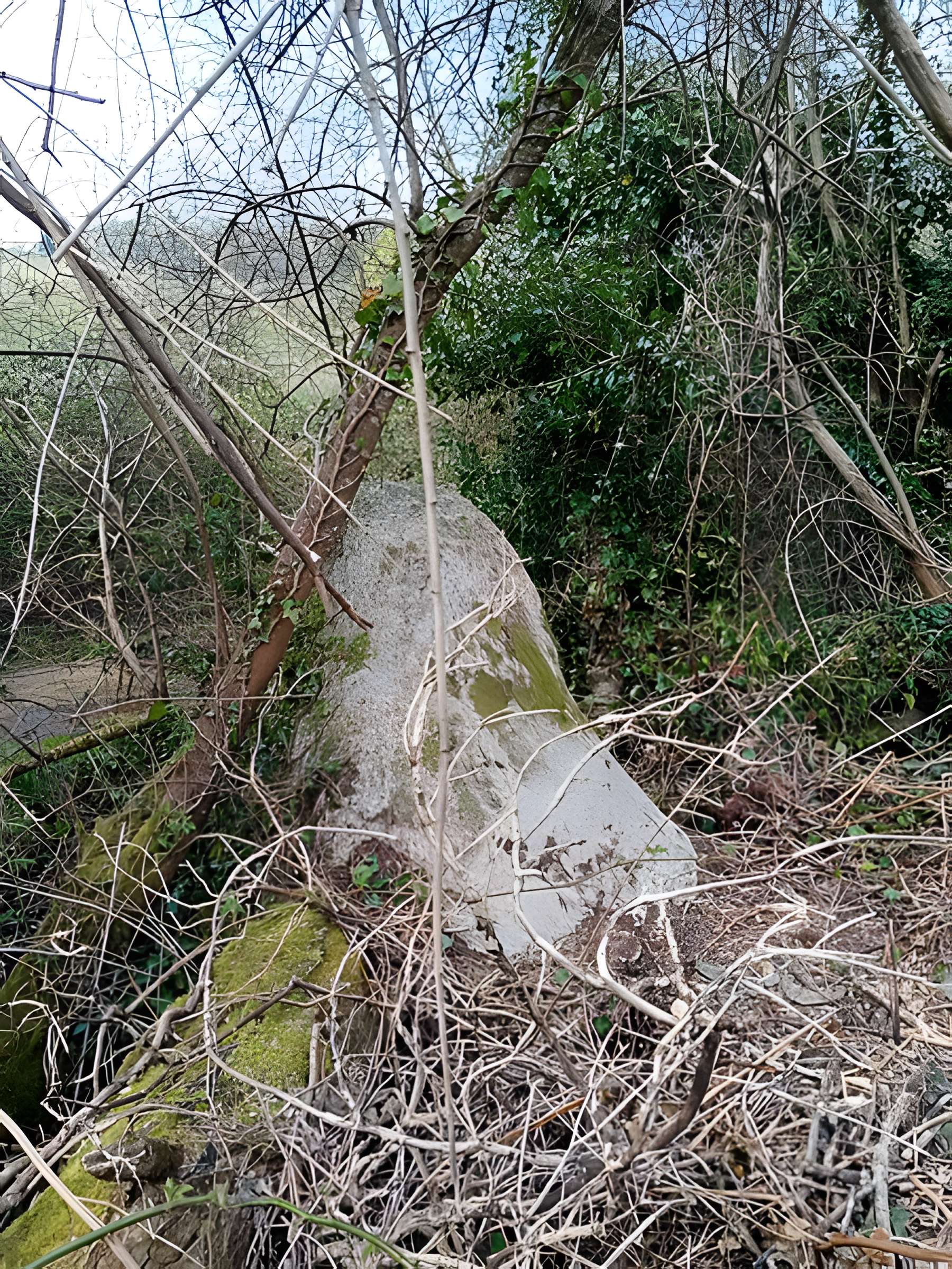 Menhir de Men-Bras-de-Kermar-Ker à Moustoir-Ac