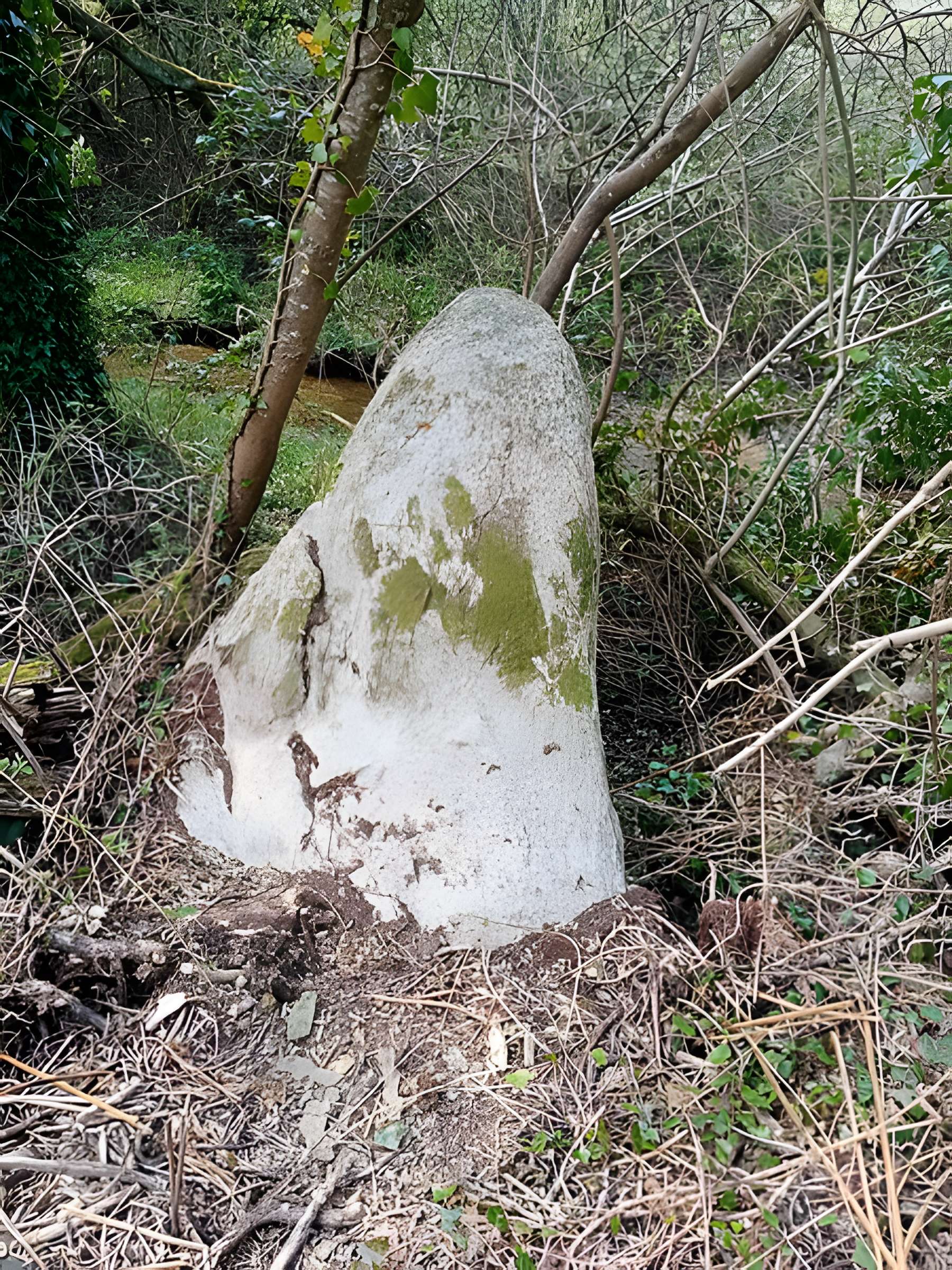 Menhir de Men-Bras-de-Kermar-Ker à Moustoir-Ac