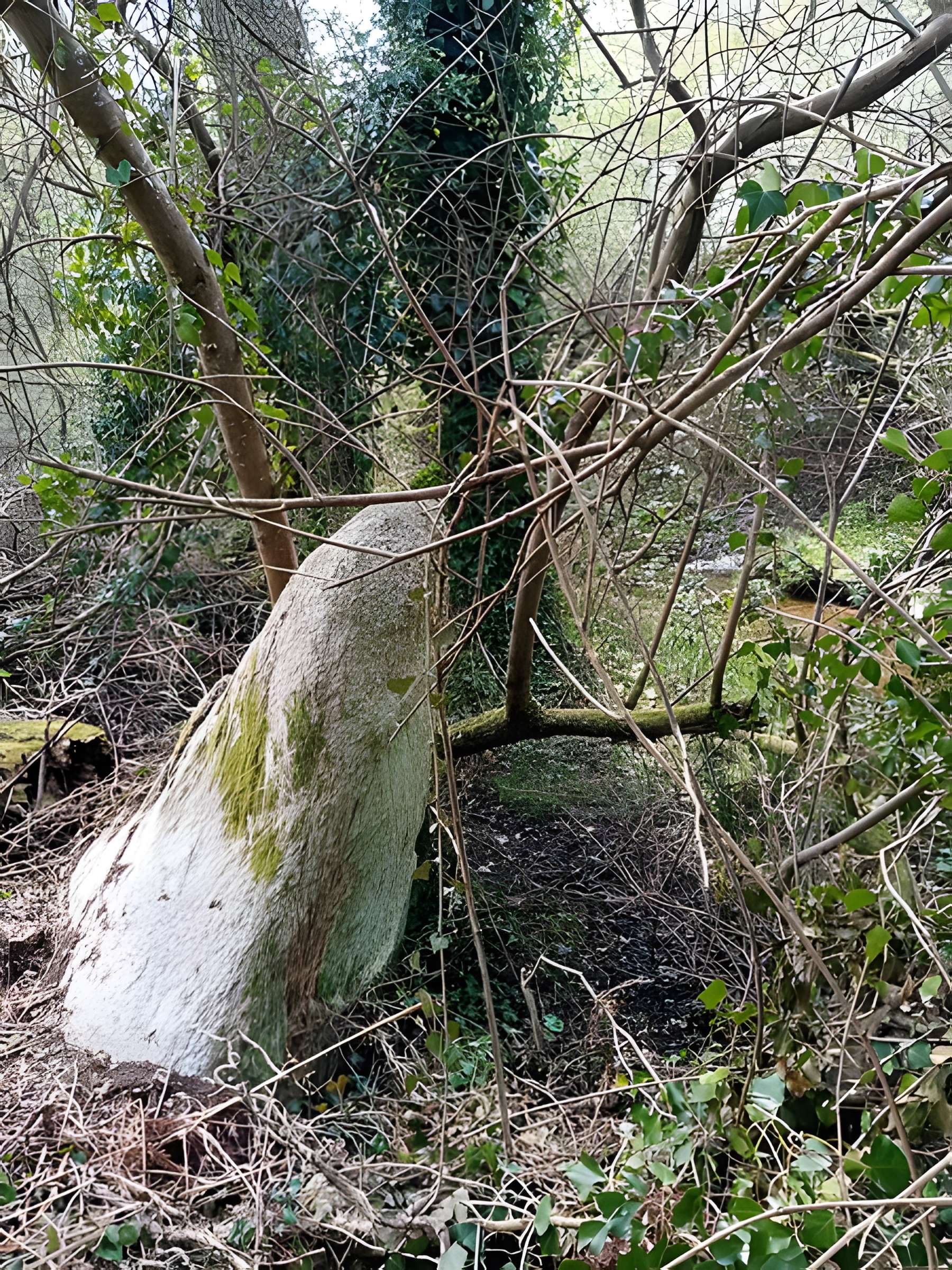 Menhir de Men-Bras-de-Kermar-Ker à Moustoir-Ac