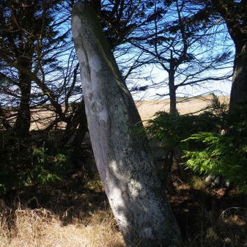menhir de parc er menhir a houat