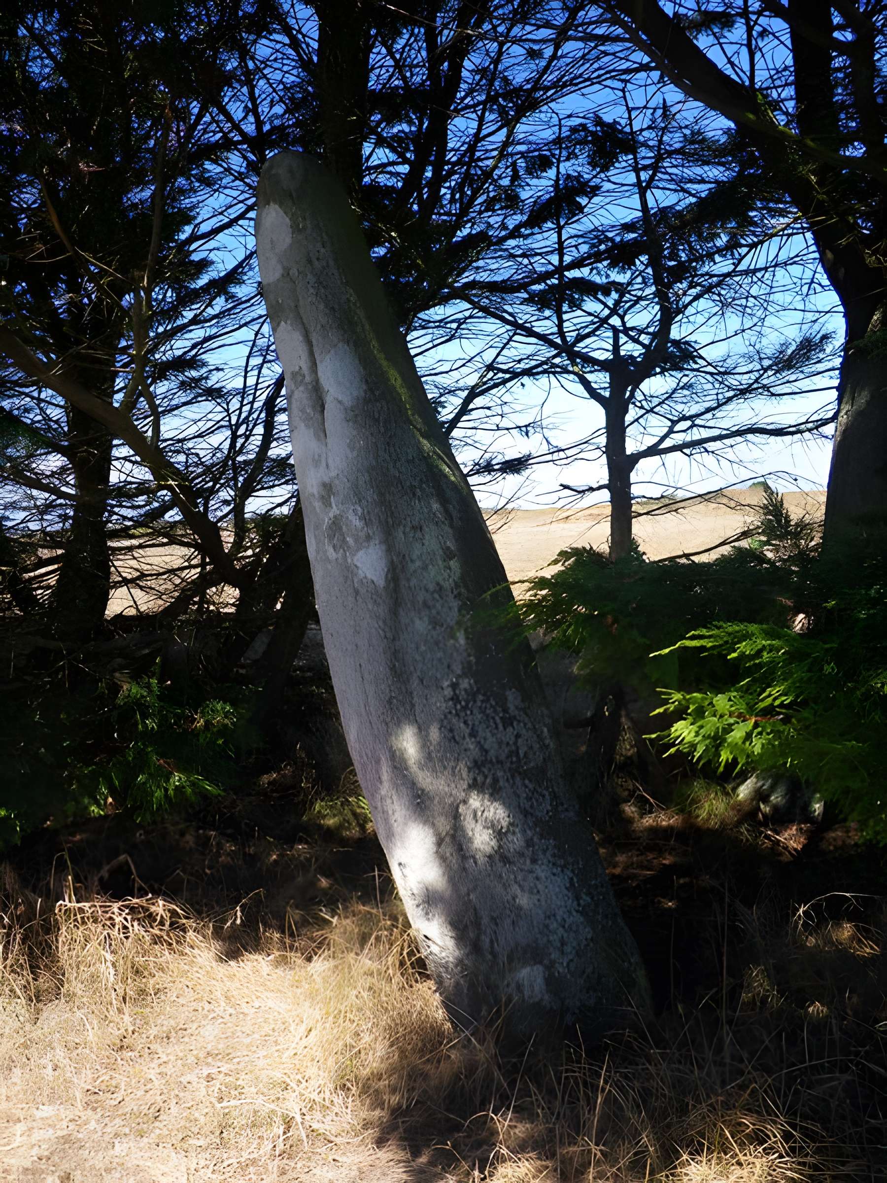 Menhir de Parc-er-Menhir à Houat 