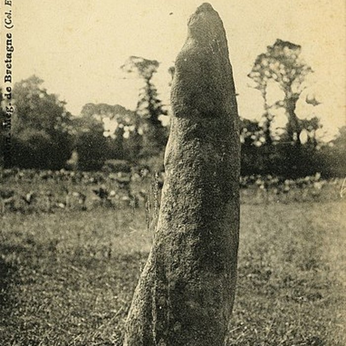 Photo de Menhir de Saint-Samson à Pleumeur-Bodou