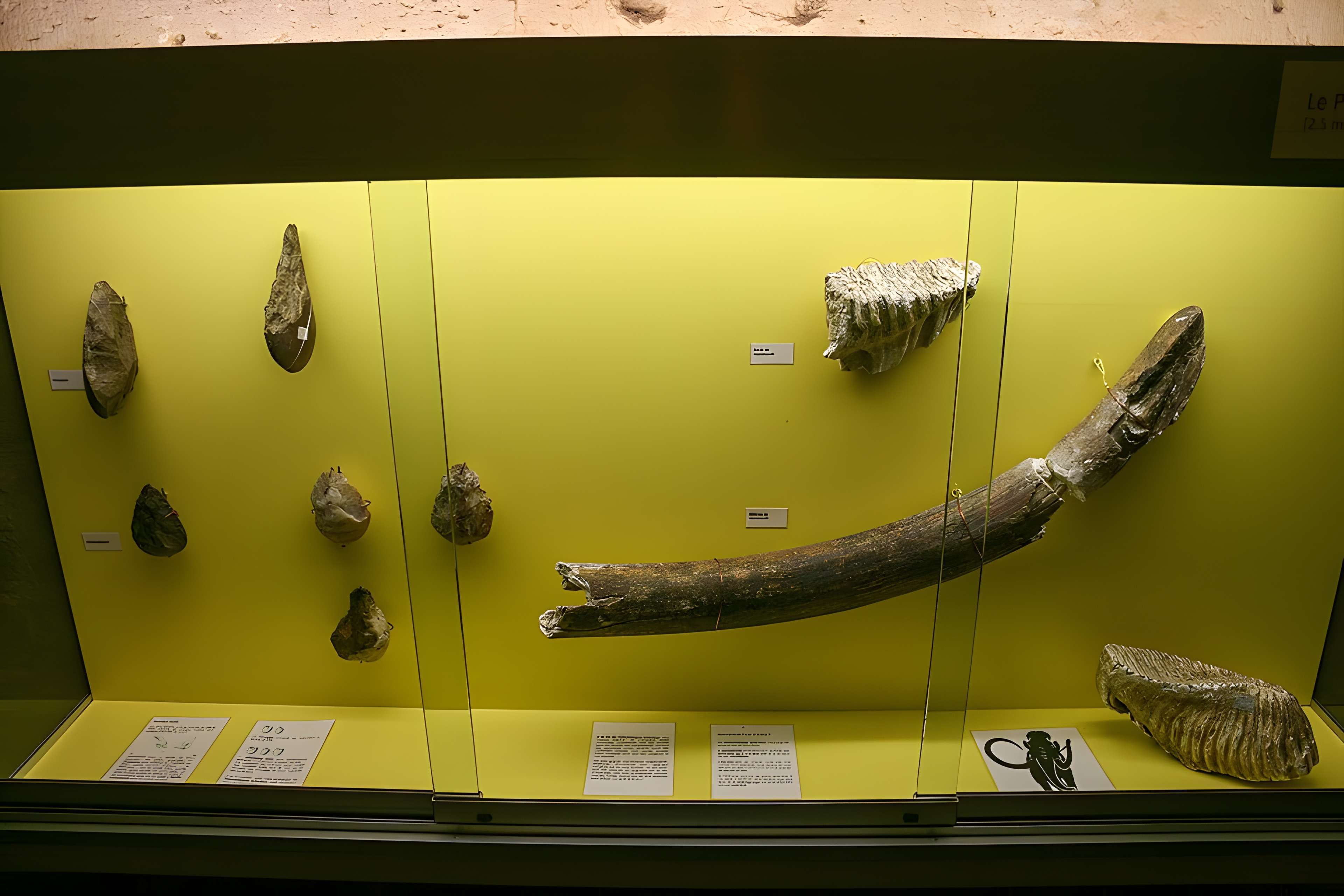 Hôtel de Vaurs à Agen