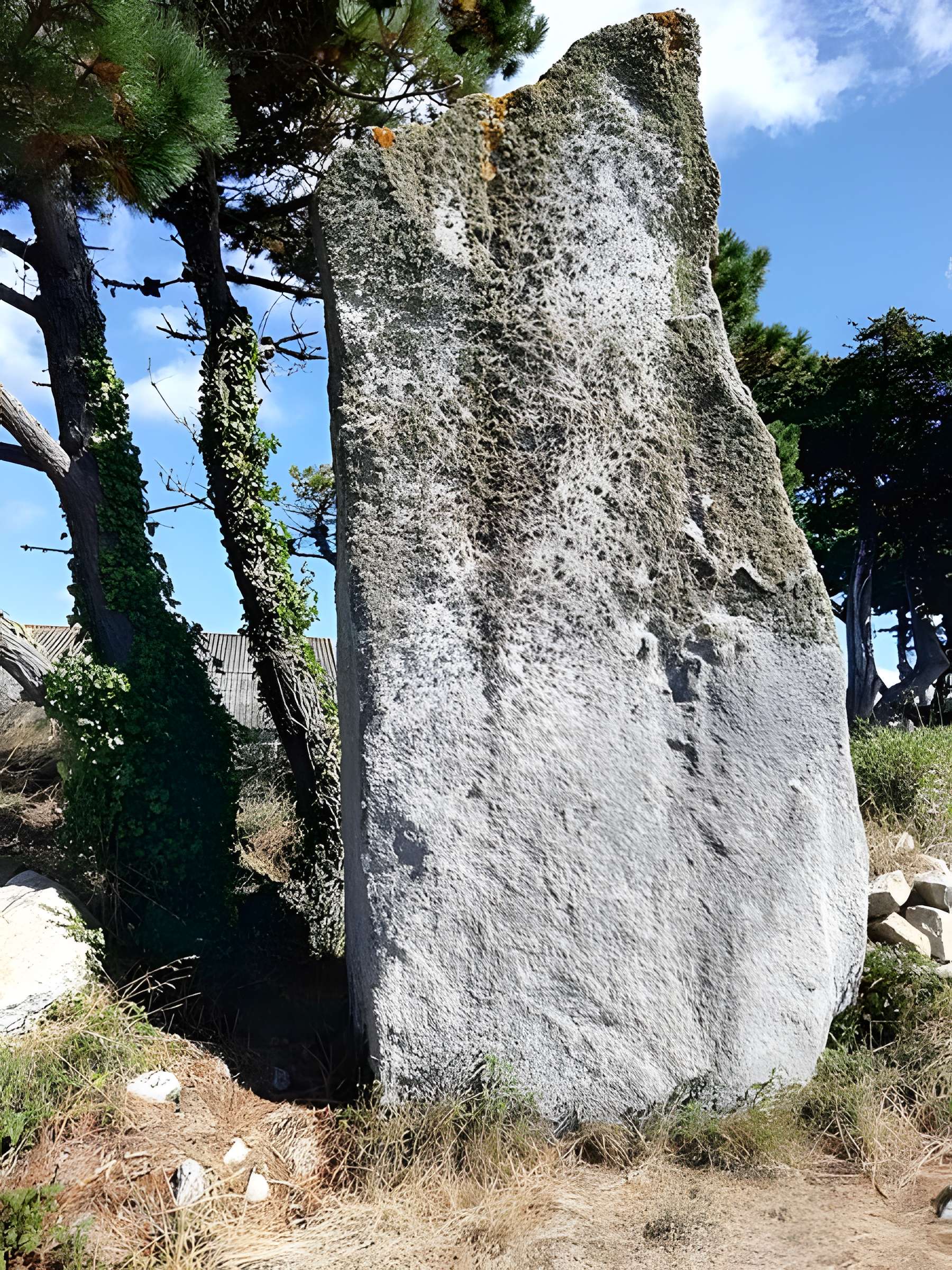 Menhir de Squividan à Treffiagat