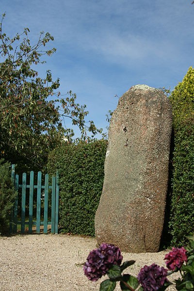 Photo de Menhir de Trémarch à Trégastel