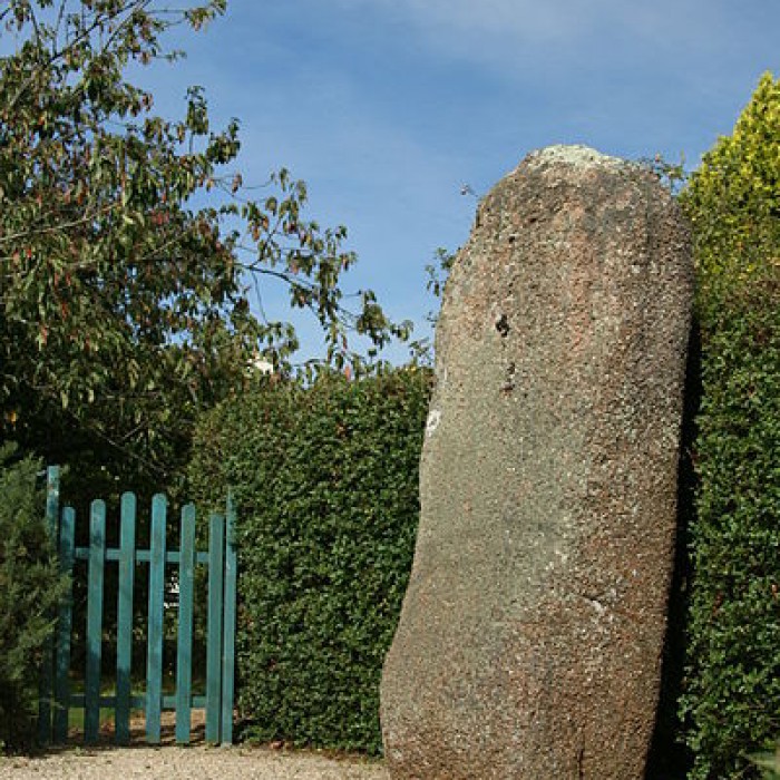 Photo de Menhir de Trémarch à Trégastel