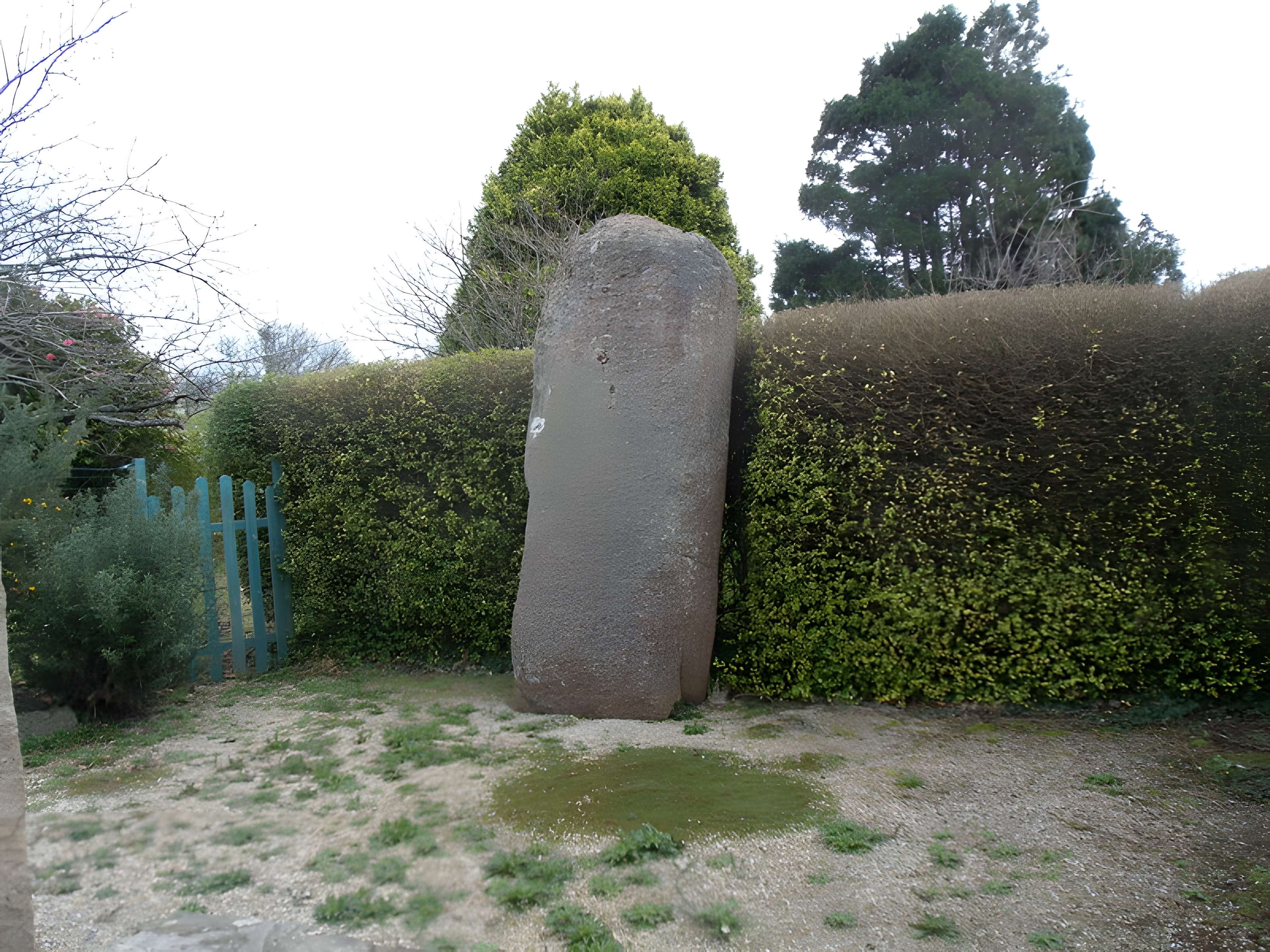 Menhir de Trémarch à Trégastel