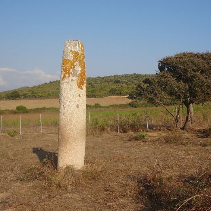 Photo de Menhir de Vaccil Vecchiu à Grossa