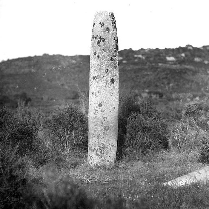 Photo de Menhir de Vaccil Vecchiu à Grossa