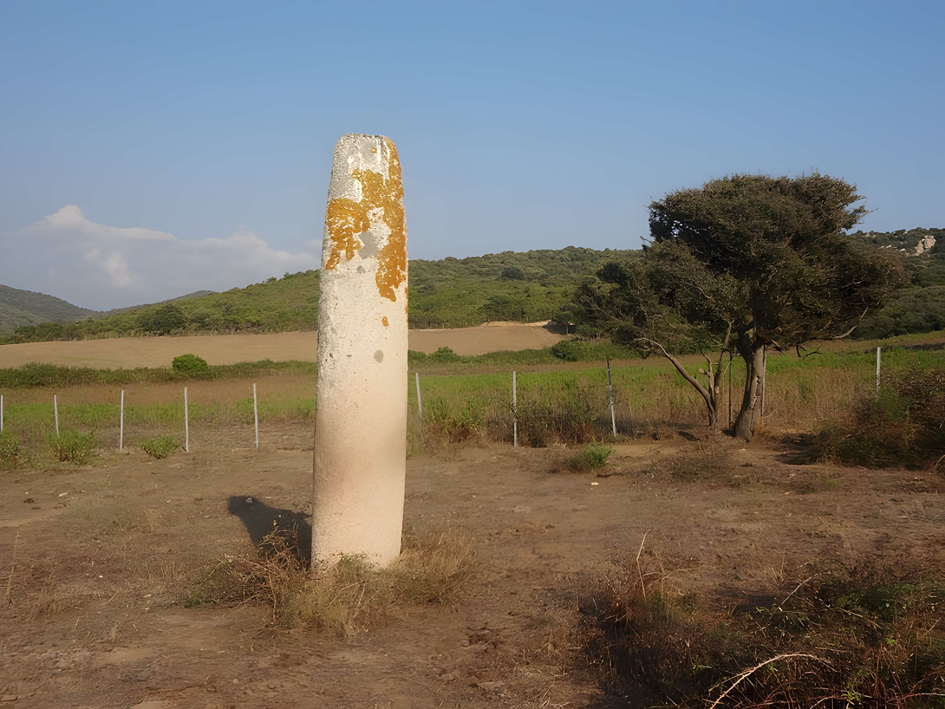 Menhir de Vaccil Vecchiu à Grossa 