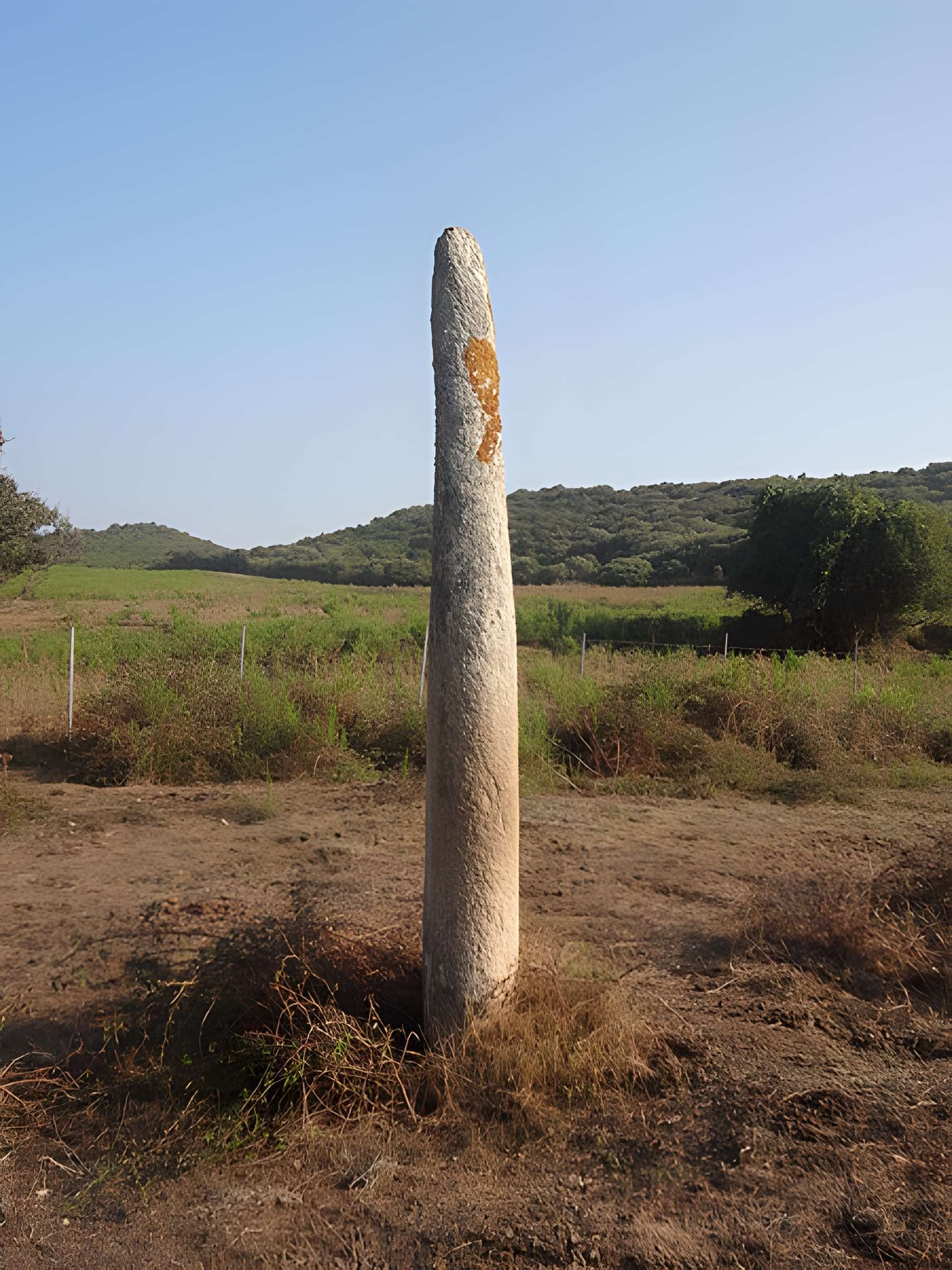 Menhir de Vaccil Vecchiu à Grossa