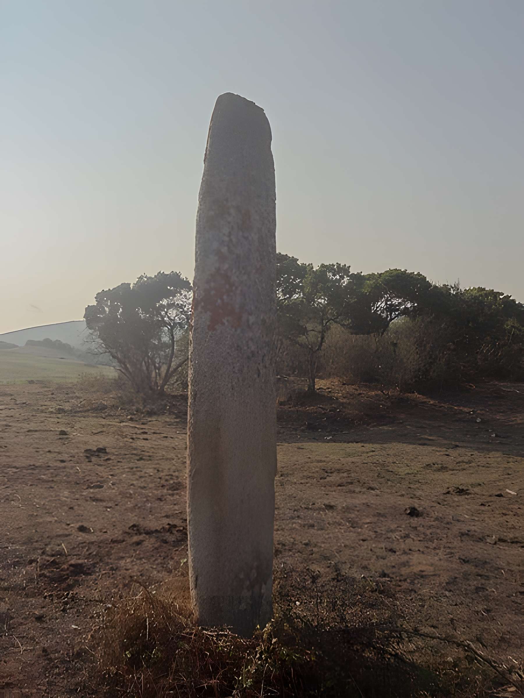 Menhir de Vaccil Vecchiu à Grossa