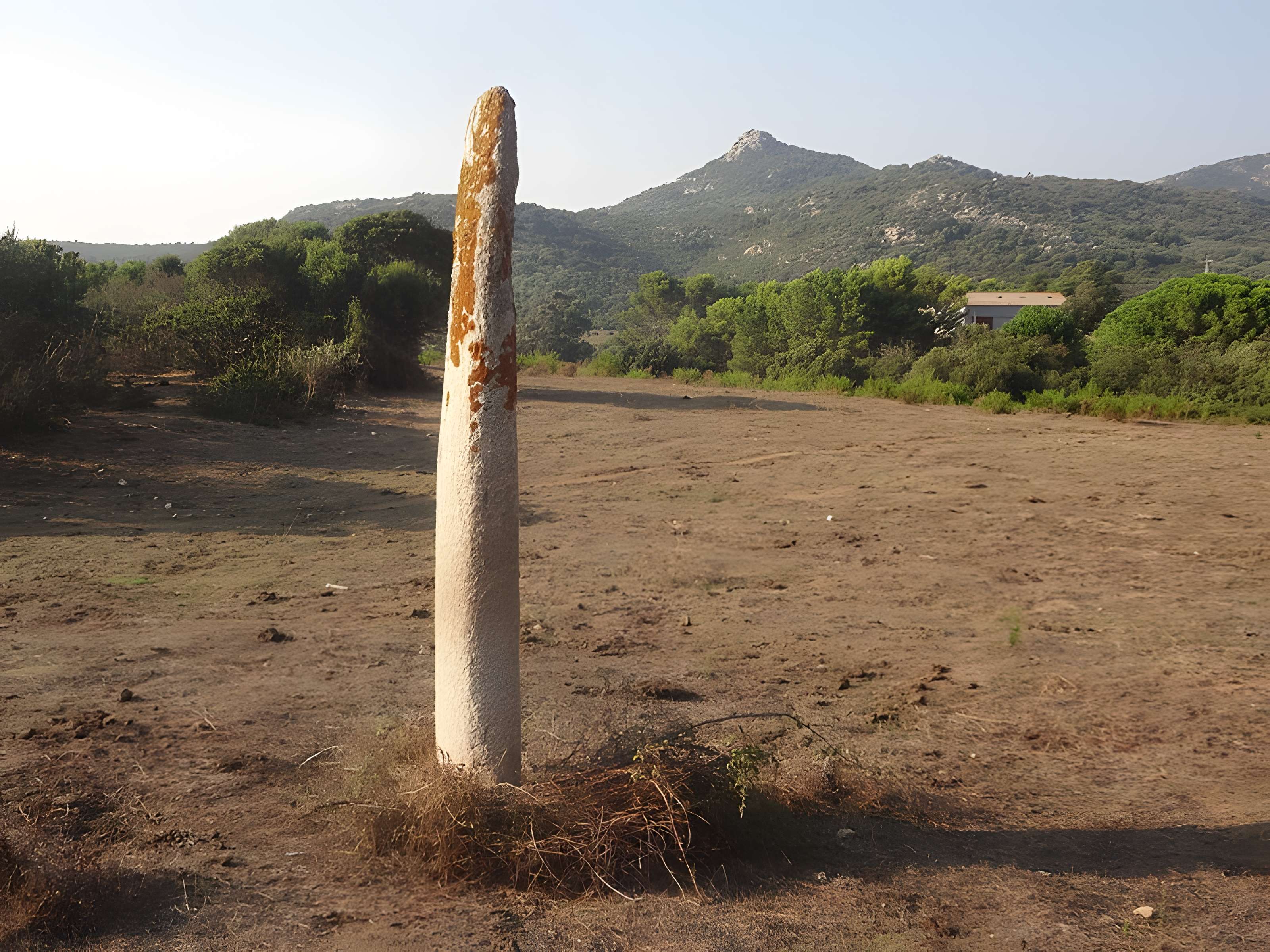 Menhir de Vaccil Vecchiu à Grossa