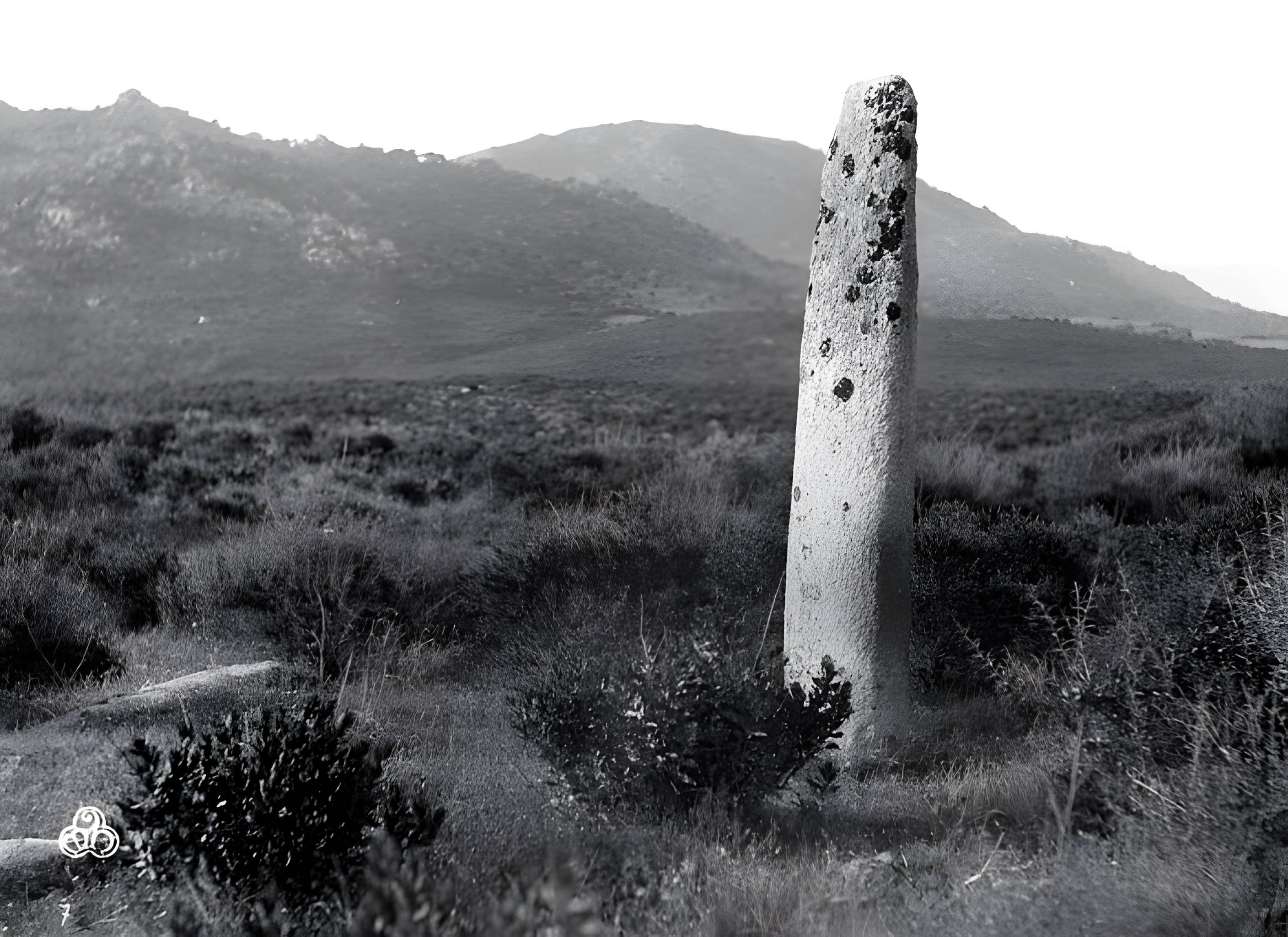 Menhir de Vaccil Vecchiu à Grossa