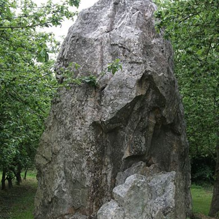 Photo de Menhir dit "Dent de Gargantua" de Saint-Suliac