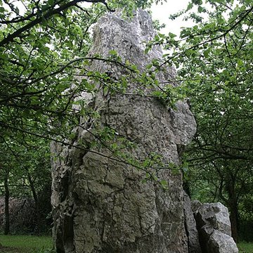 Menhir dit "Dent de Gargantua" de Saint-Suliac