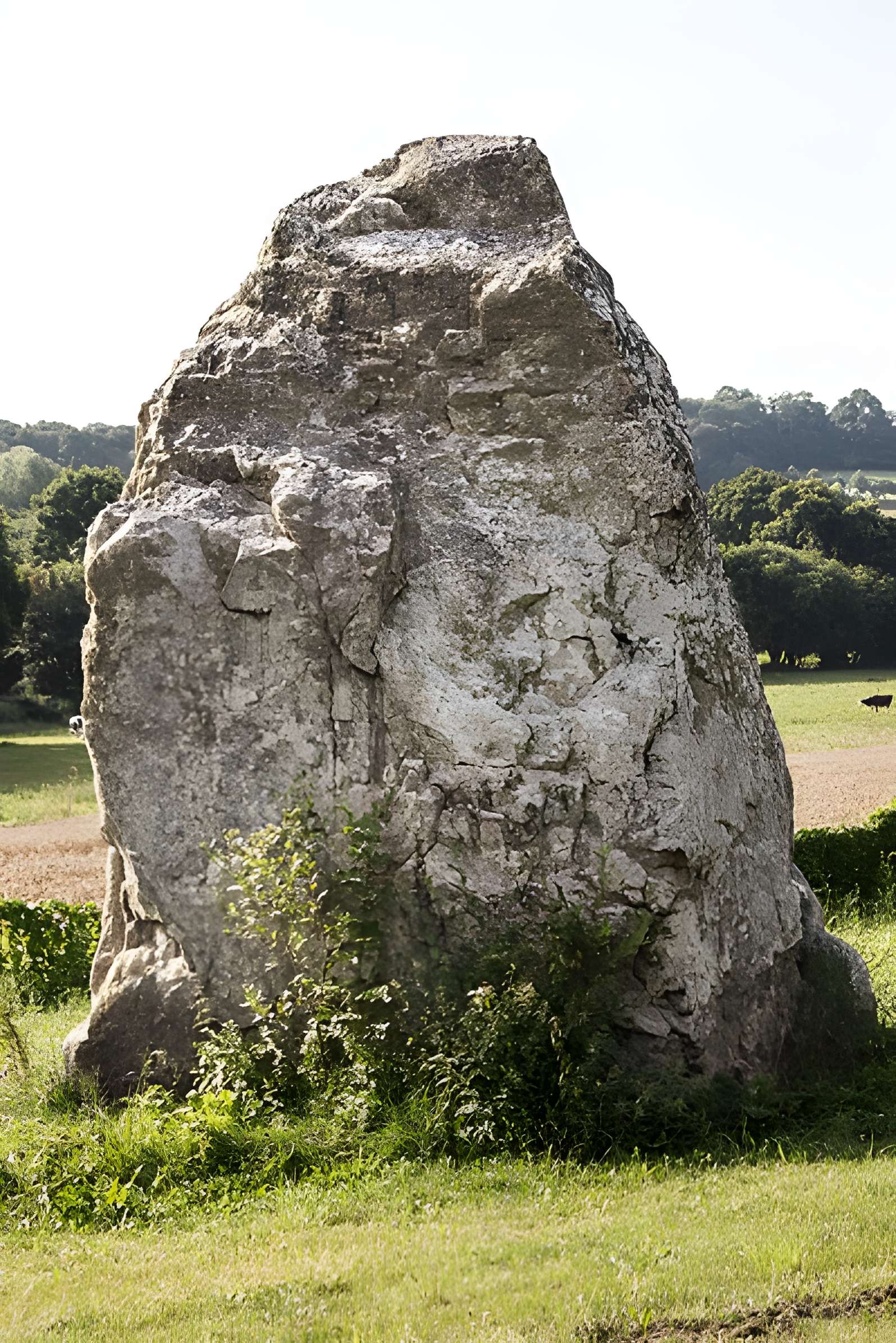 Menhir dit "Dent de Gargantua" de Saint-Suliac
